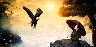 Pour réparer/éviter les dégâts, mettez-vous à l’abri et gardez : Vision et Vibration élevées