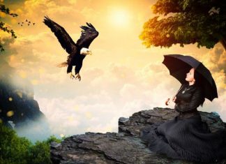 Pour réparer/éviter les dégâts, mettez-vous à l’abri et gardez : Vision et Vibration élevées