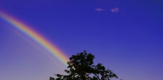 Du rôle de l’ego à l’inspiration