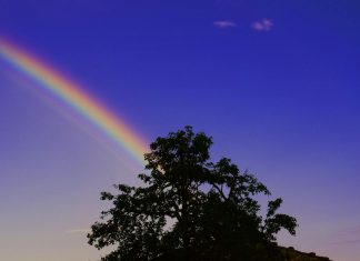 Dieu veut pour vous…