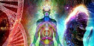 Une Merveilleuse Création : Le Vaisseau Physique