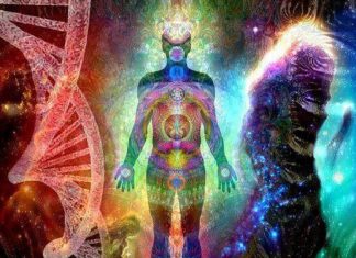 Une Merveilleuse Création : Le Vaisseau Physique