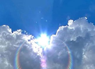 Cette plus grande Lumière est en harmonie avec la Volonté Divine