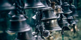 Des signaux pour se réveiller