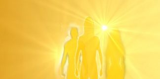 Nous nous tenons avec fierté et honneur à vos côtés