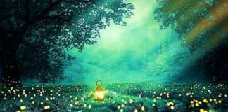 La Compassion élévatrice… un élan du Cœur dont nous avons besoin maintenant !