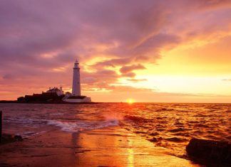 L’art de se fier à sa sagesse intérieure