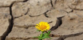 Le Créateur – Accueillir et Grandir