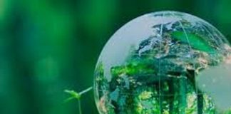 Gaïa Parle : La Vie est Longue mais le Temps est Court