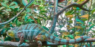 « NI VU NI CONNU »