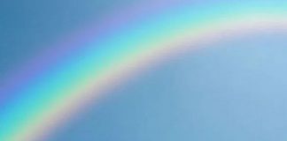 Le Créateur – Le Parcours