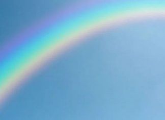 Le Créateur – Le Parcours