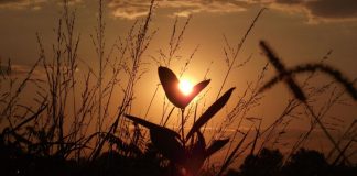 Dans quel monde vivez-vous ?