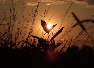 Dans quel monde vivez-vous ?