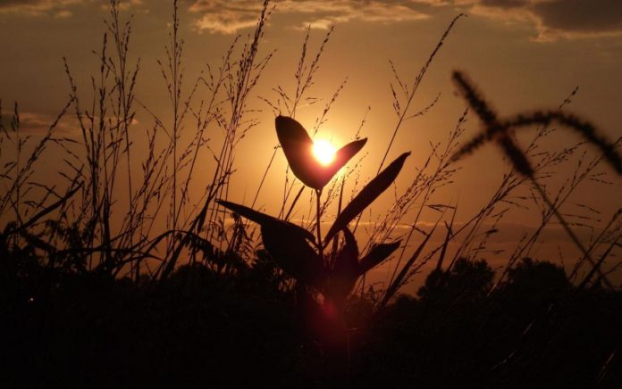 Le monde de vos remerciements