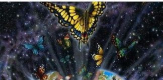 Les Vibrations de la Nouvelle Terre