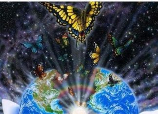 Les Vibrations de la Nouvelle Terre