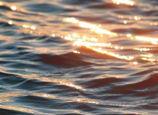 Patience et inspiration