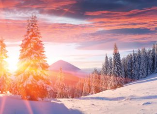 Un Message Spécial du Solstice d’Hiver aux Travailleurs de Lumière – 21 décembre 2020