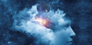 Le Créateur – Votre Connexion