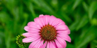 Un Jour, c’est Maintenant