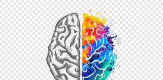 Le Créateur – Juste à une Pensée Près