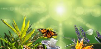 Il n’y a qu’une chose a faire Actuellement c’est ÊTRE