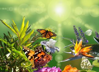 Il n’y a qu’une chose a faire Actuellement c’est ÊTRE