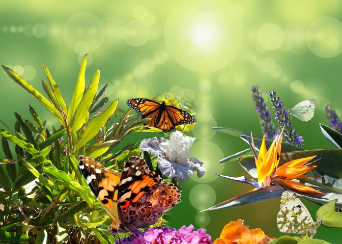 Le Printemps de l'Âme