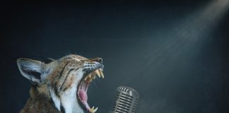 Dites OUI à votre propre liberté d’expression !