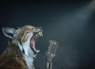 Dites OUI à votre propre liberté d’expression !