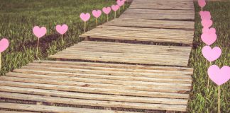 Ne vous trompez pas de voie, prenez celle de votre cœur !