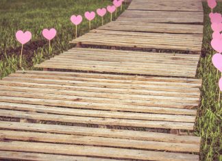 Ne vous trompez pas de voie, prenez celle de votre cœur !