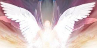 Il est Temps de se Souvenir !