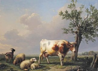 REPRENDRE CONSCIENCE