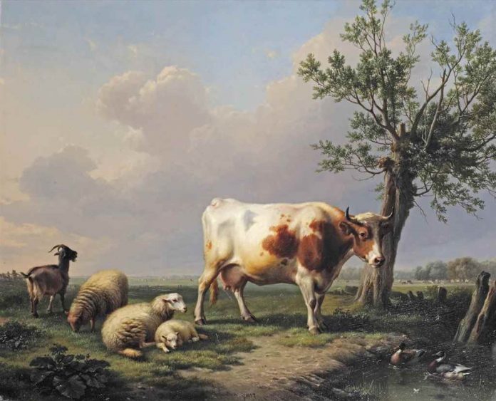 Animaux de la ferme