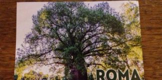 Message d’un Vieil « Arbre Bouteille » en Australie