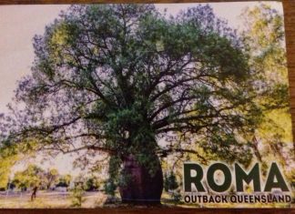 Message d’un Vieil « Arbre Bouteille » en Australie