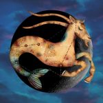 Astrologie Intuitive – Nouvelle Lune en Capricorne