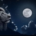Astrologie intuitive – Pleine Lune du Lion