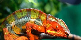 Soyez Flexible pour rester en Paix