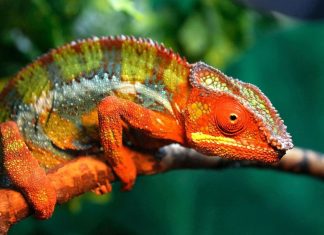 Soyez Flexible pour rester en Paix