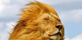 N’attendez plus. Réveillez-vous