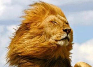 N’attendez plus. Réveillez-vous