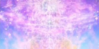 Mission de Lumière – 2021 ~ Partie 2