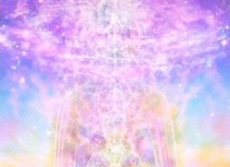 Mission de Lumière – 2021 ~ Partie 2