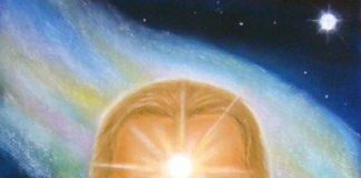 Salusa : Activité Derrière les Coulisses