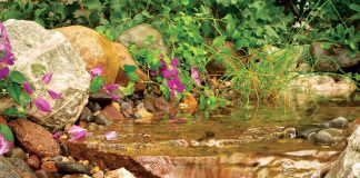 Le Créateur – C’est bon