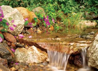 Le Créateur – C’est bon