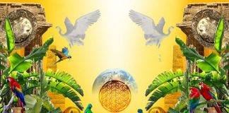 Le Centre du Centre du Coeur est le point d’Ancrage de votre Incarnation